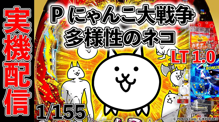 P にゃんこ大戦争 多様性のネコ 2026/08/21