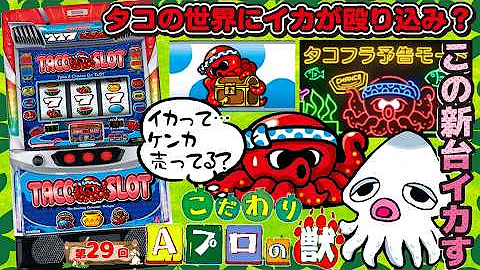 こだわり Aプロの獣29（スマスロ タコスロ編）｜A PROJECTチャンネル