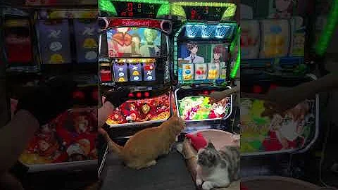 【設定6】2日で−5000枚超え⁉️まさかの大苦戦…🔥｜ヴァルヴレイヴ2 × 初代カバネリ