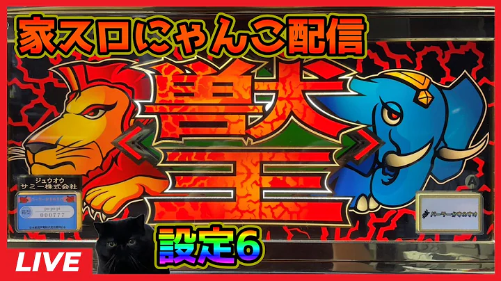 【家スロにゃんこ配信】ゴールド 獣王【設定6】#2