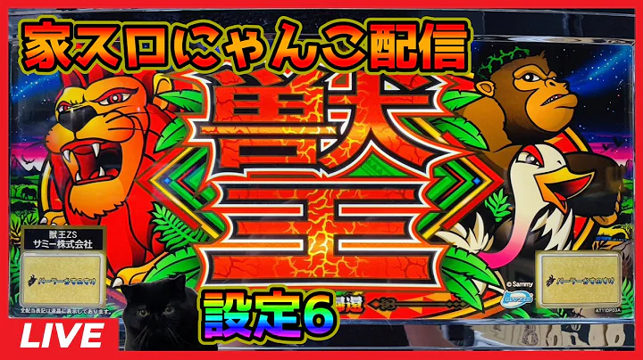 【家スロにゃんこ配信】獣王 王者の帰還【設定6】#2